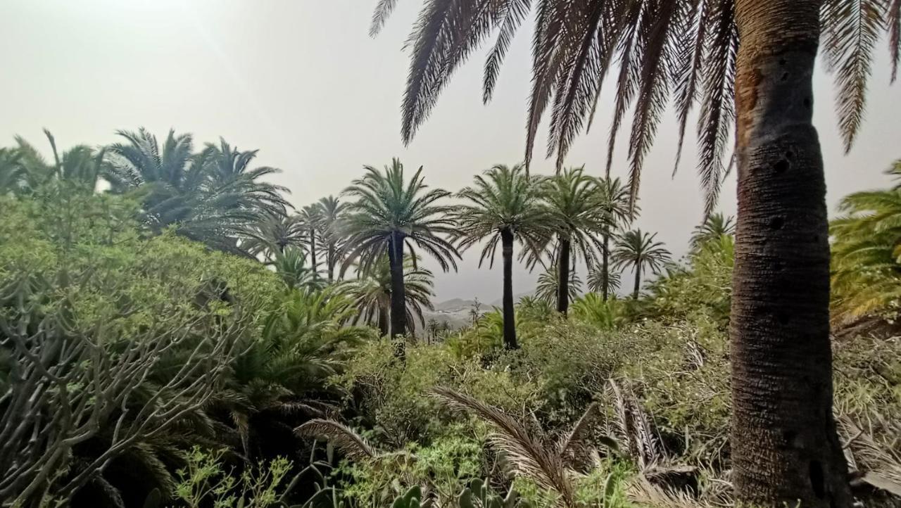 Alojera Alquilaencanarias Casa La Playa La Gomera מראה חיצוני תמונה