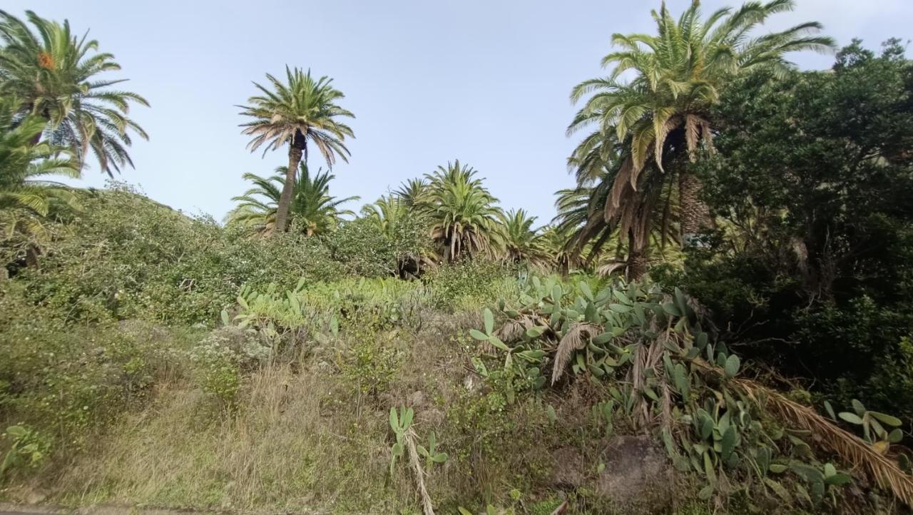 Alojera Alquilaencanarias Casa La Playa La Gomera מראה חיצוני תמונה